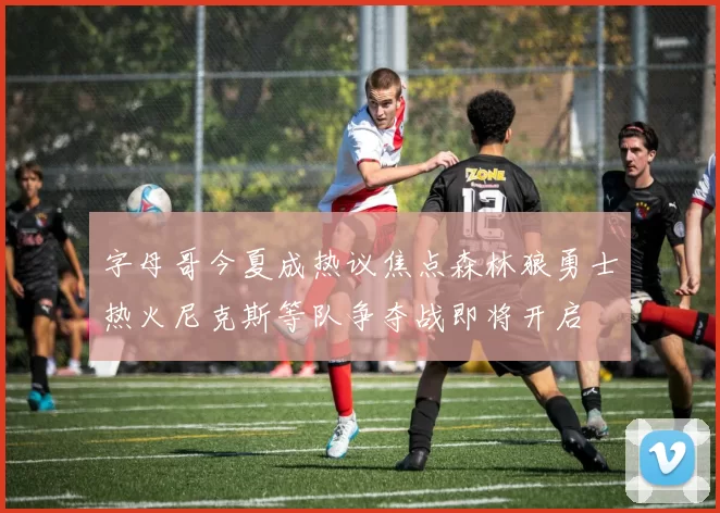字母哥今夏成热议焦点森林狼勇士热火尼克斯等队争夺战即将开启