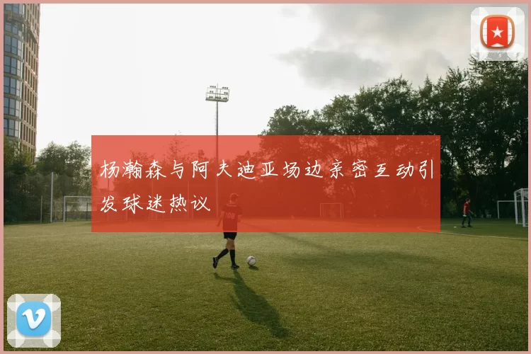 杨瀚森与阿夫迪亚场边亲密互动引发球迷热议