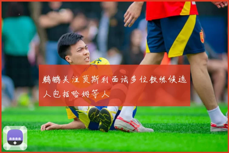 鹈鹕关注莫斯利面试多位教练候选人包括哈姆等人